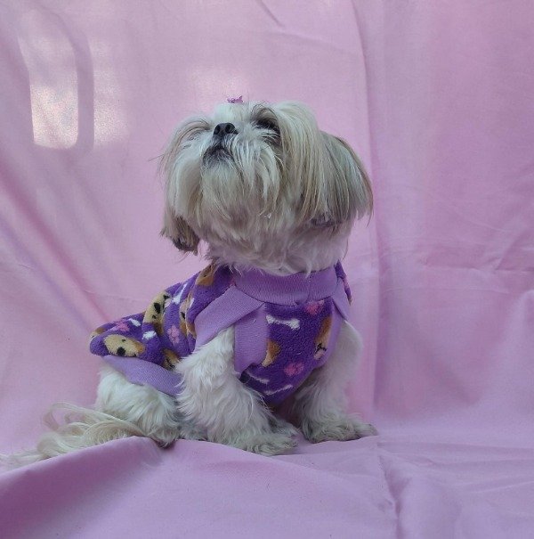 Producto - Chaleco LABRADORES violeta polar soft talle 2