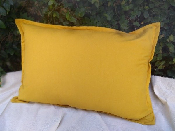 Producto - Almohadón 50x25