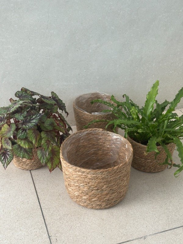 Producto - Porta macetas Natural