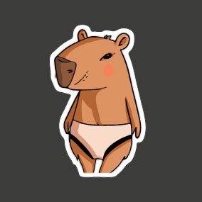 Producto - Capivara, calzones 32