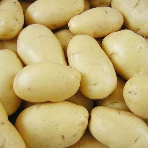 Producto - papa blanca