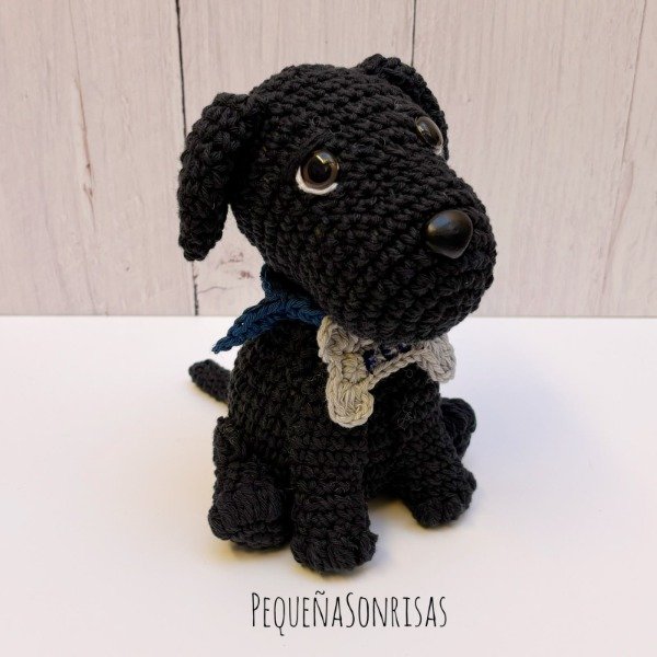 Producto - Perritos y Gatitos Personalizados 1 - 8