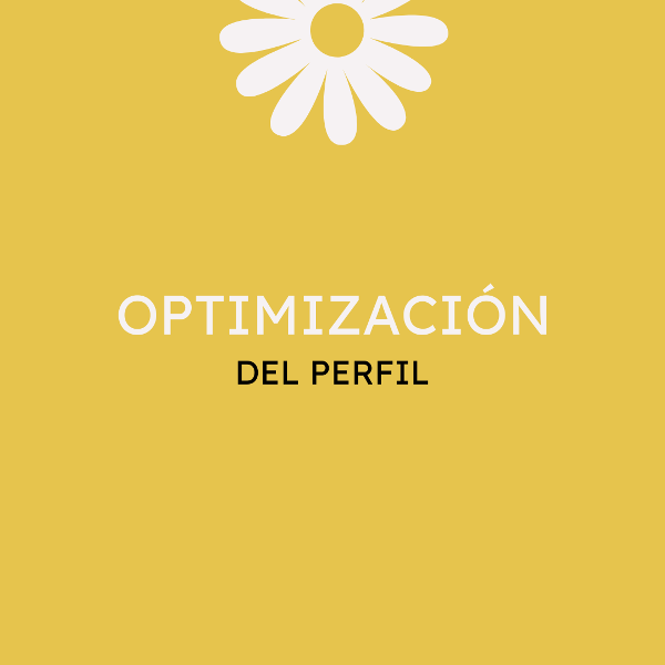 Producto - OPTIMIZACIÓN DEL PERFIL