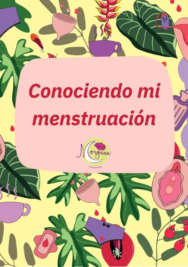 Producto - E-book Primera Menstruación.