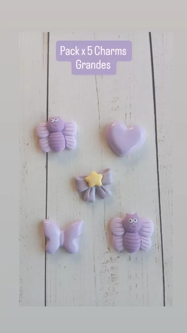 Producto - PACK X 5 CHARMS GRANDES LILA