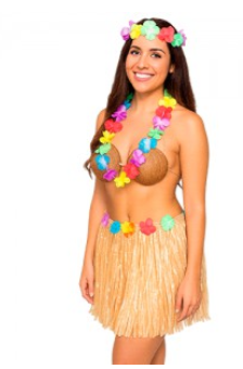 Producto - POLLERA HULA HAWAII NATURAL X1