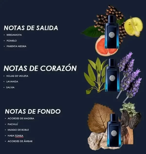 Miniatura de producto - 5