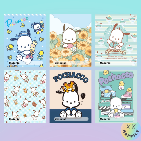 Producto - Caratulas Pochaco