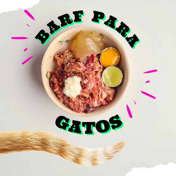 Producto - BARF Gatos x 1 kg