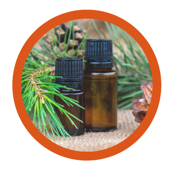 Producto - PINO ACEITE ESENCIAL