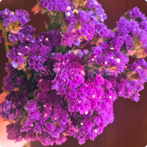 Producto - Statice Limonium Violeta