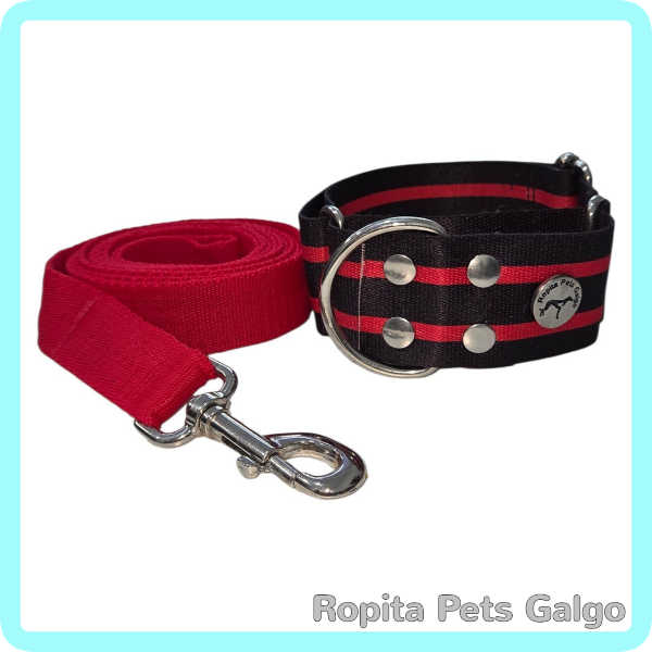 Producto - Conjunto Collar y Correa Alegria Derby