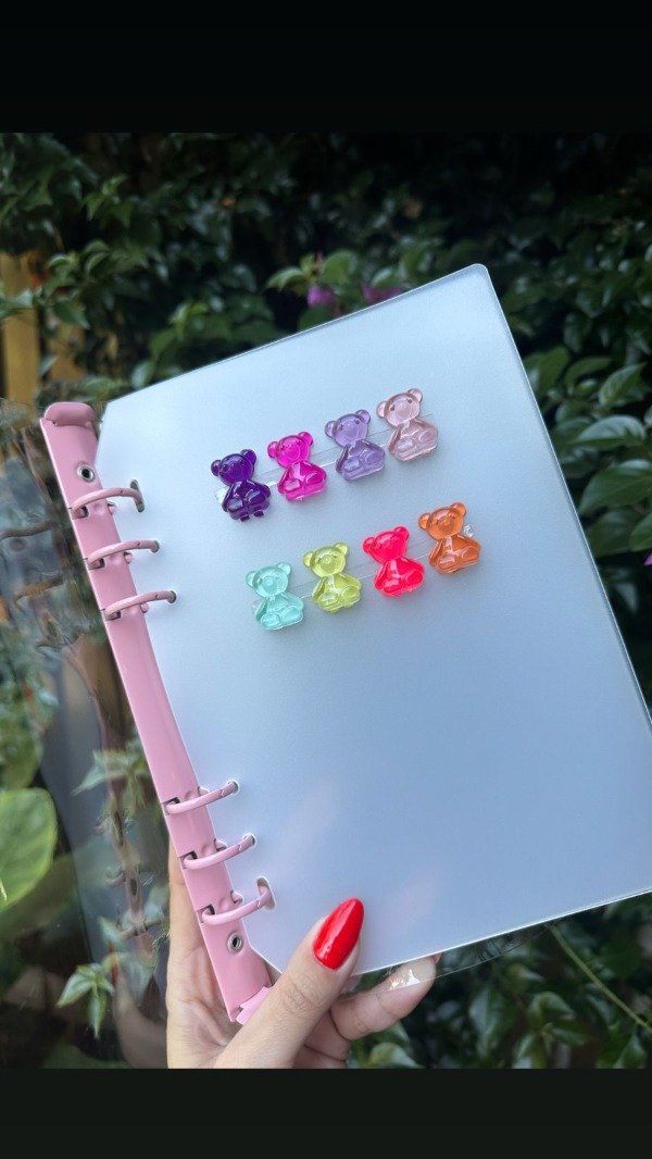 Producto - MUESTRARIO CARPETA CHARM