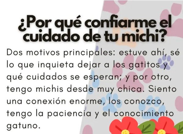 Producto - Cuidadora de mascotas