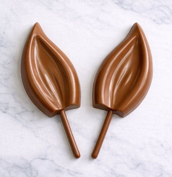 Producto - PLACA MOLDE OREJAS X2