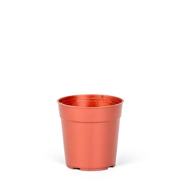 Producto - BERUPLAST CLASICA 6