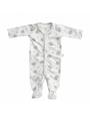 Producto - Enterito Erizos