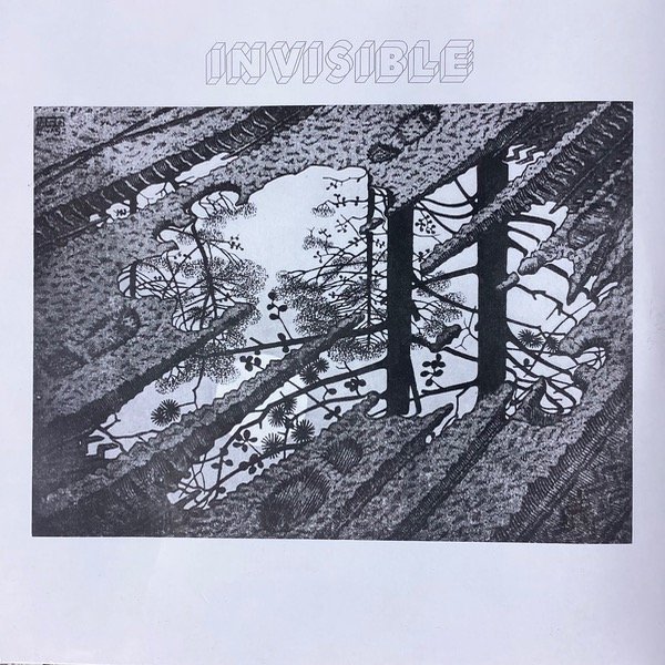 Producto - INVISIBLE Invisible (doble)