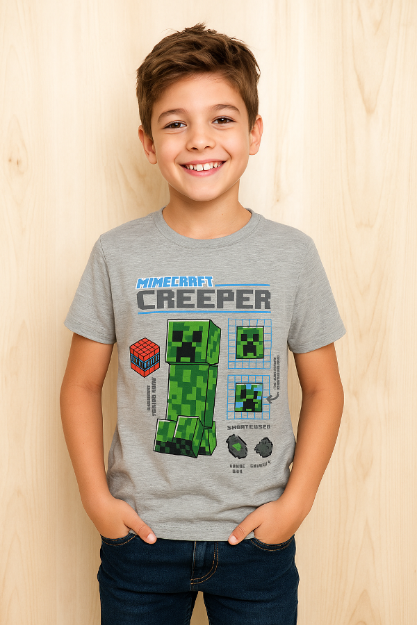 Producto - Minecraft manga larga