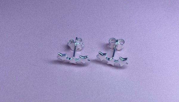 Producto - Zarcillos Estrella Trepador