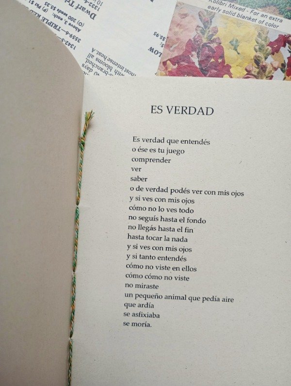 Producto - LA PRIMAVERA ENTERA de Idea Vilariño - 1