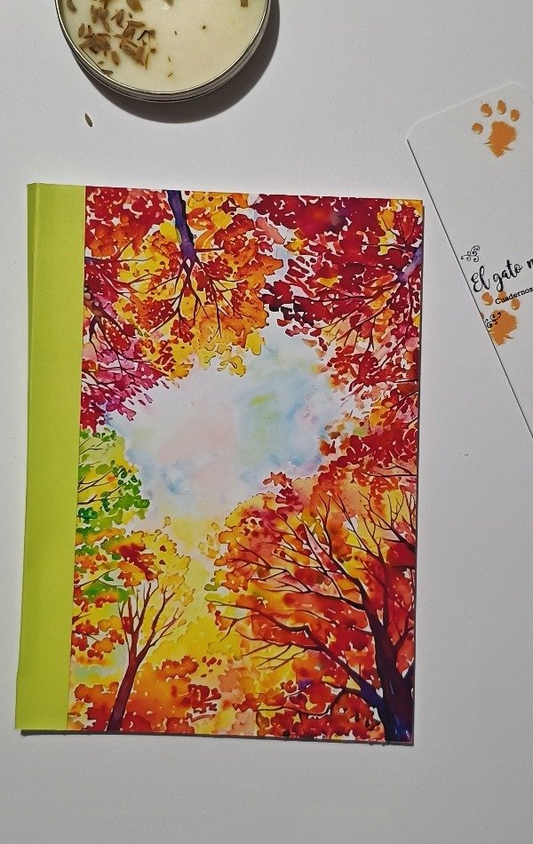 Producto - Bosque rojo