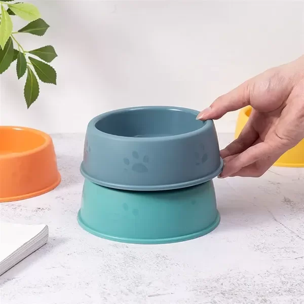 Producto - Comedero BOWL - chico