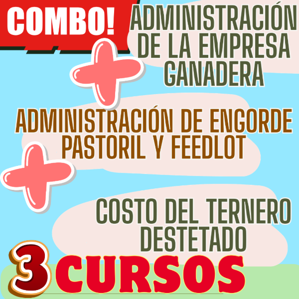 Producto - COMBO 3 CURSOS:Gestión Ganadera + Costo deL Ternero + Engorde Pastoril y Feedlot
