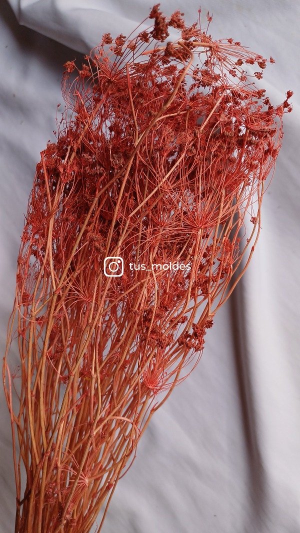 Producto - RAMO HINOJO SALMON