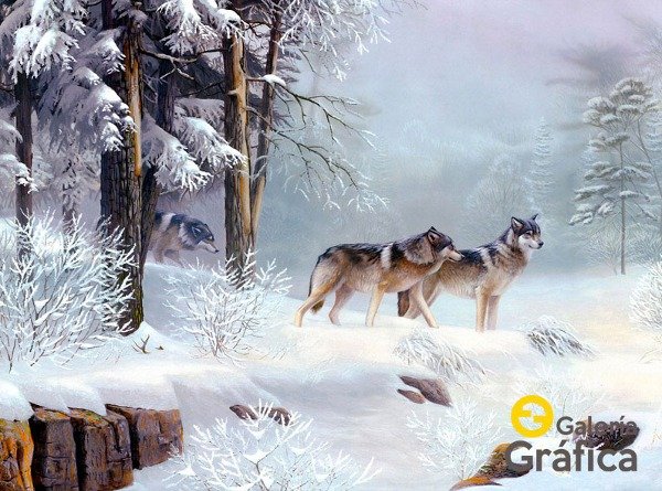Producto - Paisaje FS 14