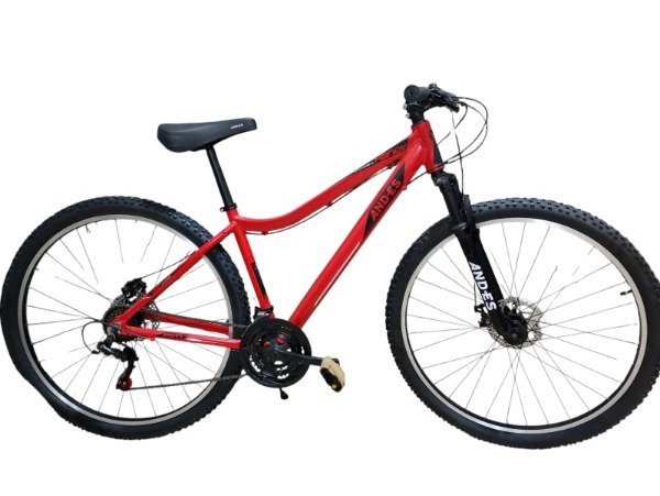 Producto - BICICLETA RDO29 AND-ES HANDY 21VEL. A DISCO MECANICO