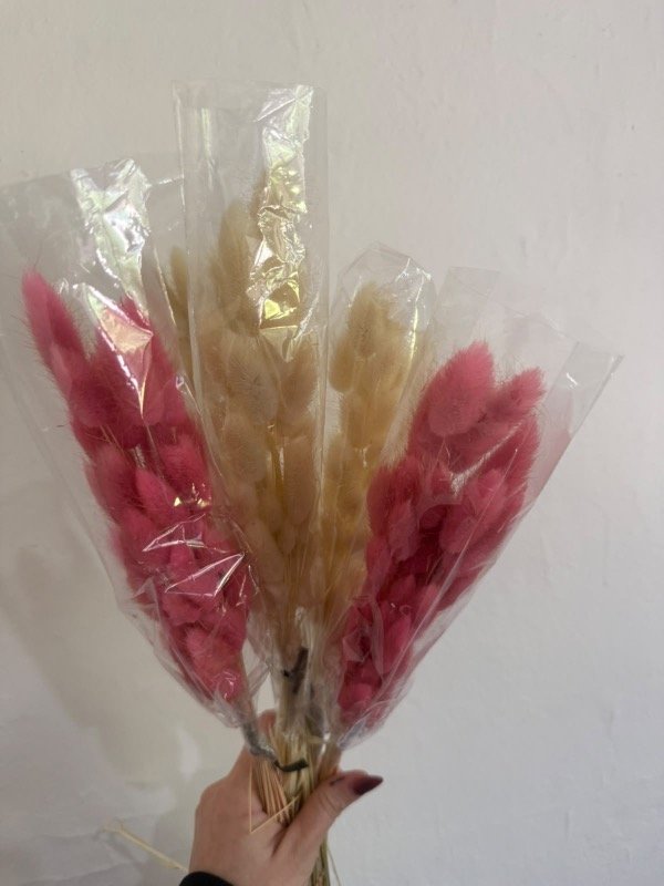 Producto - RAMO VISON - 0