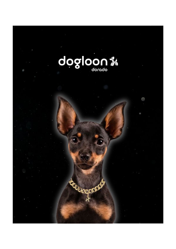 Producto - Dogloon Dorado