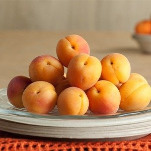 Producto - Prunus armeniaca (Damasco)