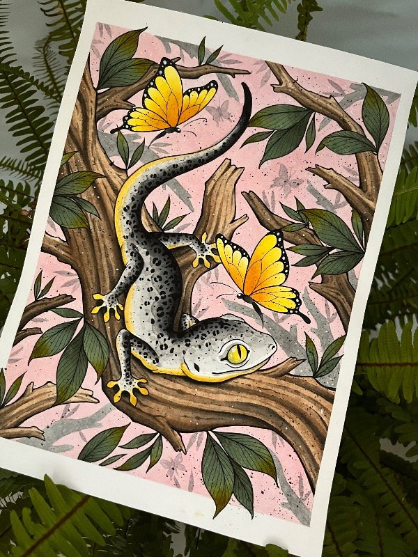 Producto - GECKO