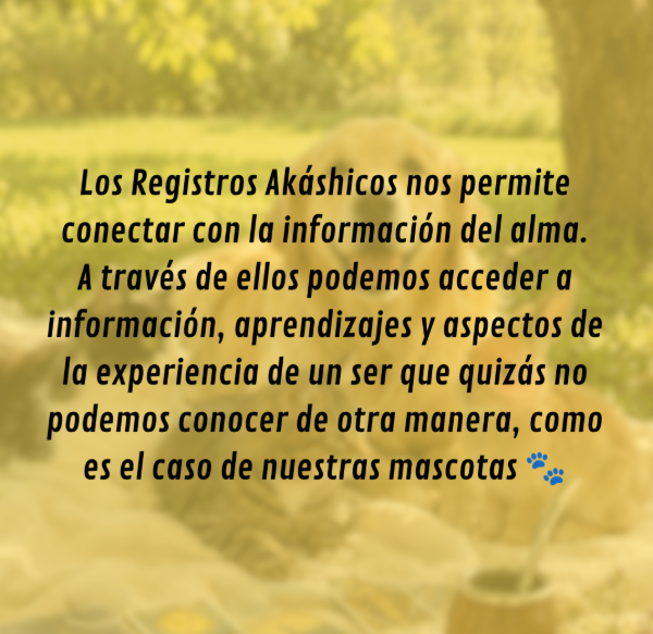 Producto - Registros Akashicos para mascotas - 1