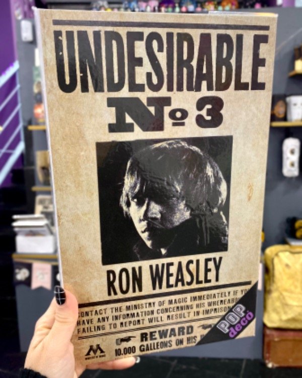Producto - Cuadro Undesirable N3