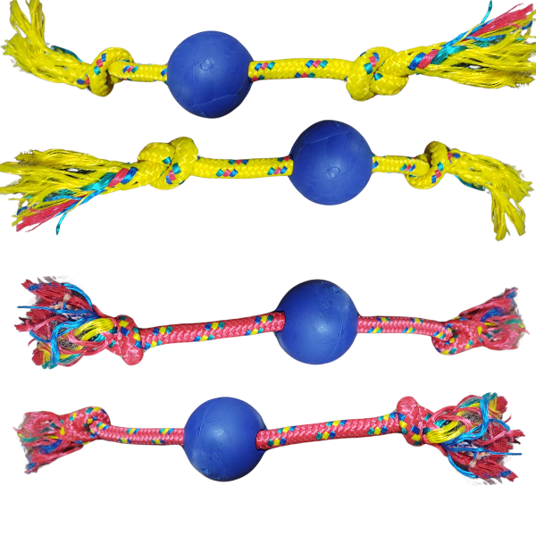 Producto - Pelota de color Con Soga Para Perros Pequeños Y Medianos - 1