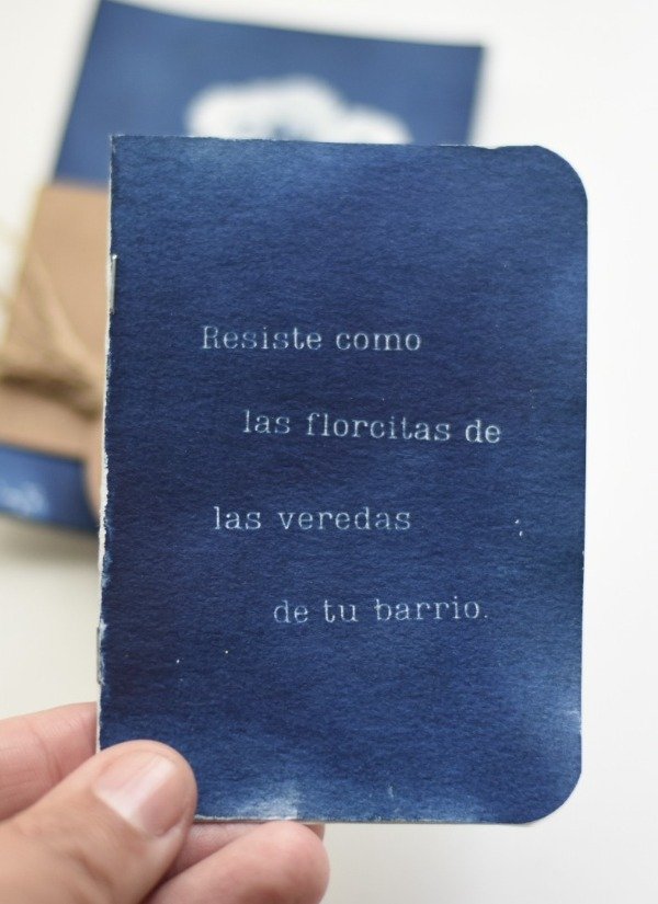 Producto - Herbario de Bolsillo