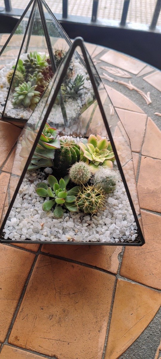 Producto - Terrario Iris