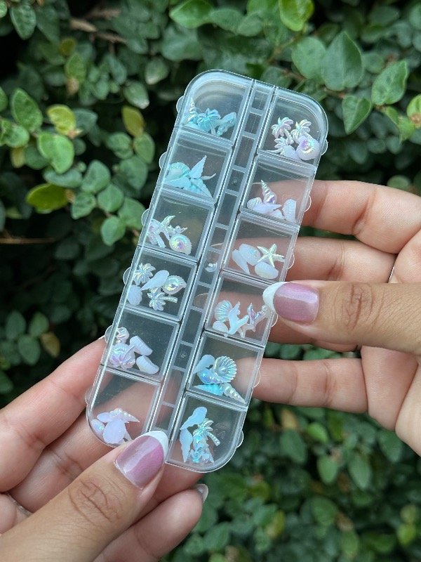 Producto - Box dijes marinos Aurora