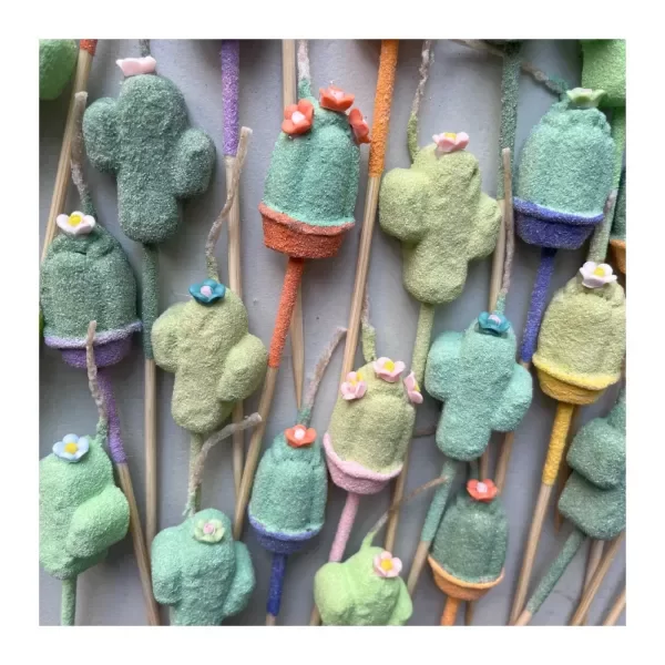 Producto - Vela Suculentas