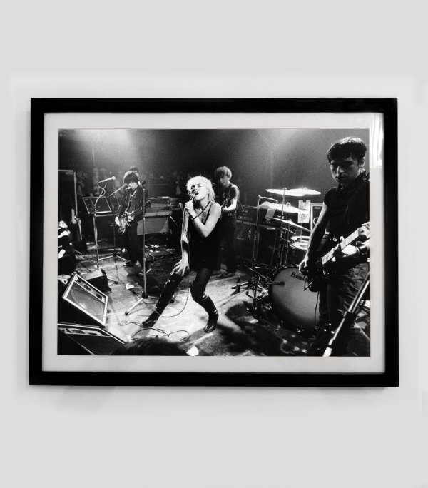 Producto - BLONDIE (Nro 26)