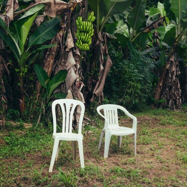 Producto - Bad Bunny - Debí Tirar Más Fotos (white)
