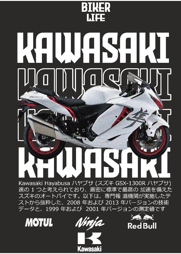 Producto - KAWASAKI Hayabusa FONDO NEGRO