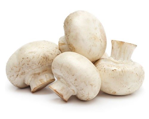 Producto - CHAMPIGÑON kg