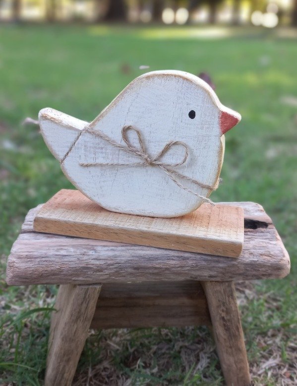 Producto - Pajarito pichón