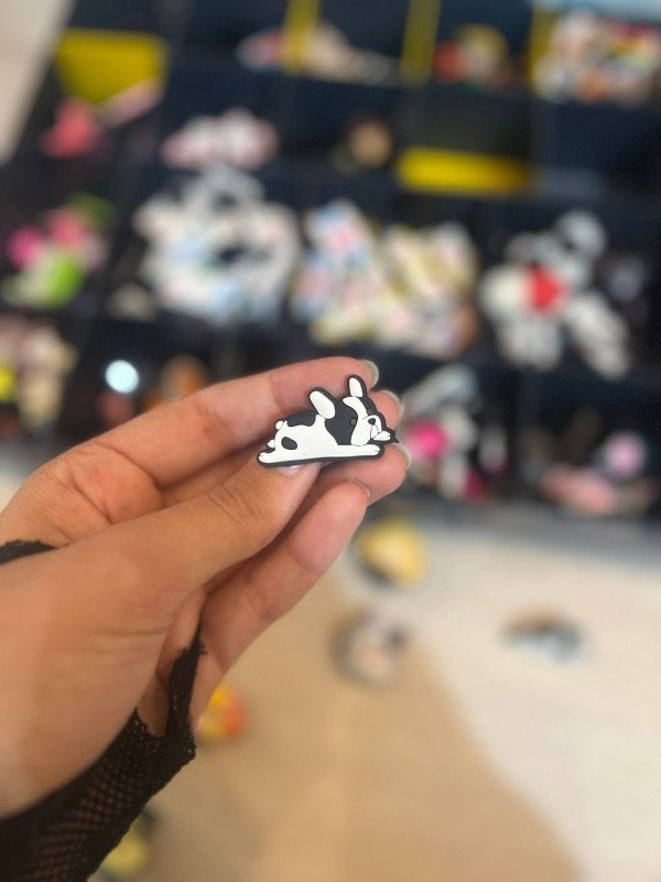 Producto - Pin de crocs Perrito1