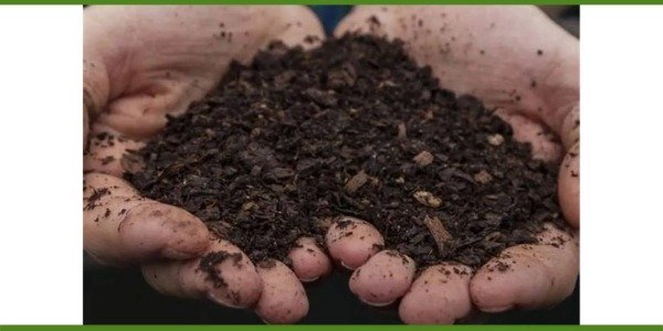 Producto - Bokashi fertilizante natural y agroecológico x bolsa 13 kg