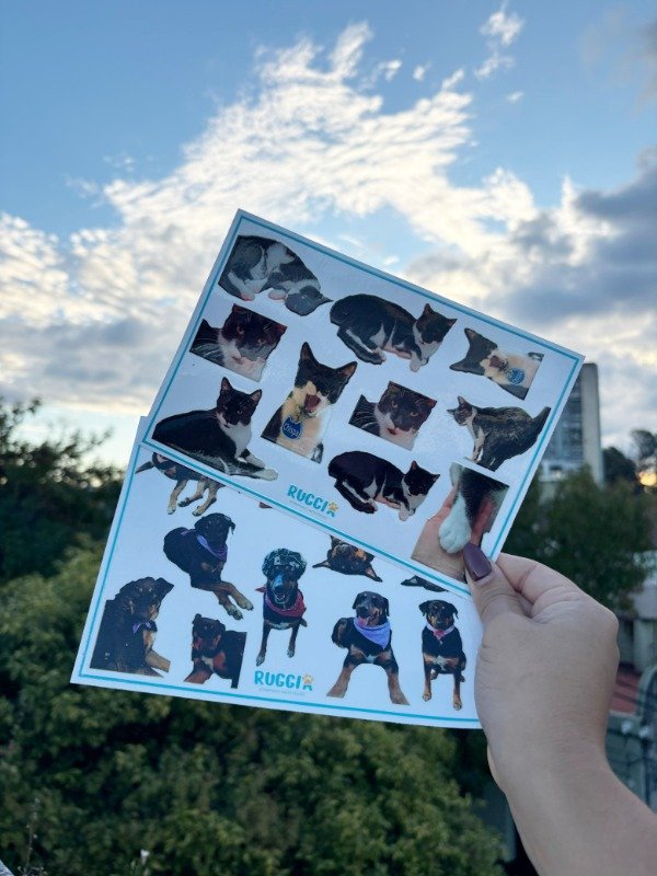 Producto - Plancha de Stickers DTF UV